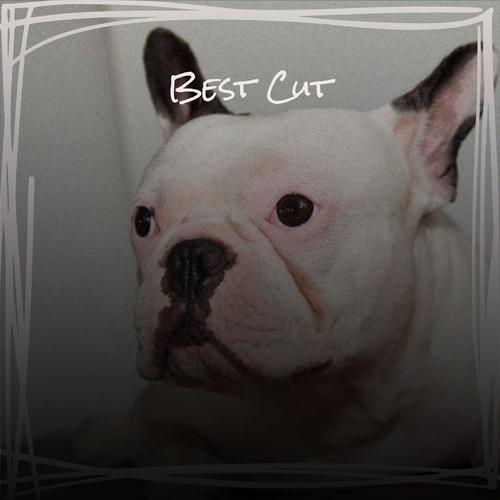 Best Cut