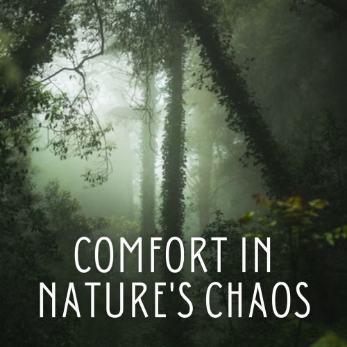 Comfort in Nature's Chaos