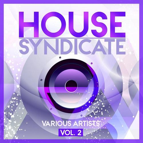 House Syndicate, Vol. 2