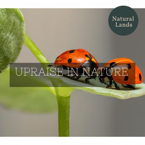 Upraise in Nature