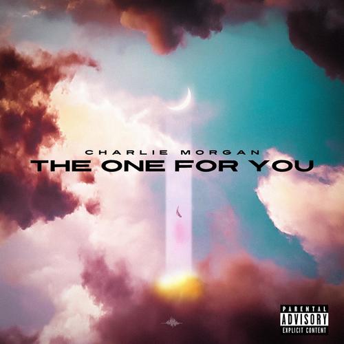 The One For You