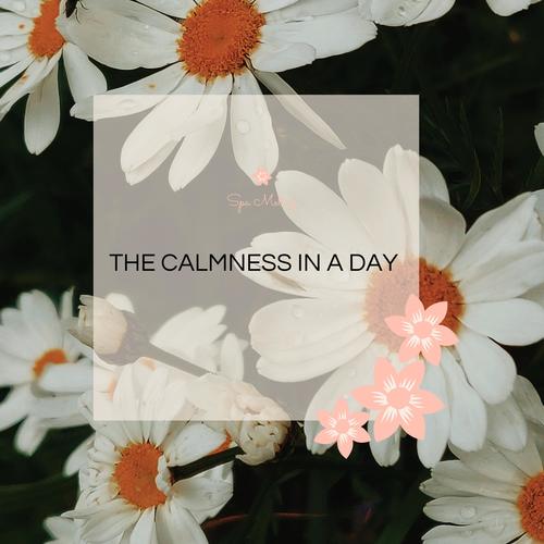 The Calmness In A Day