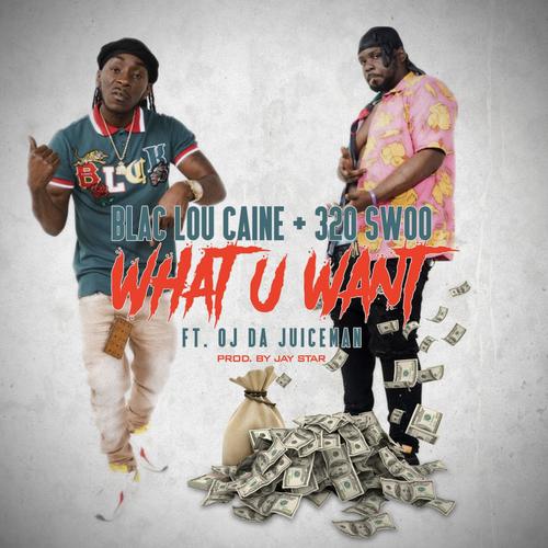 What You Want (feat. 320 Swoo) [Explicit]