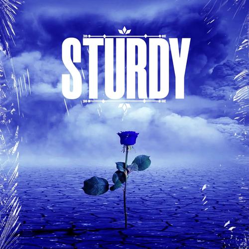 STURDY (Explicit)