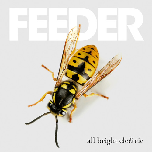 All Bright Electric (Deluxe Version)