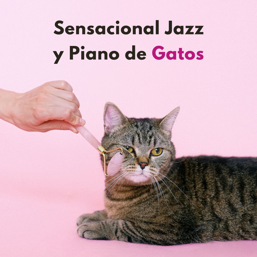 Sensacional Jazz Y Piano De Gatos