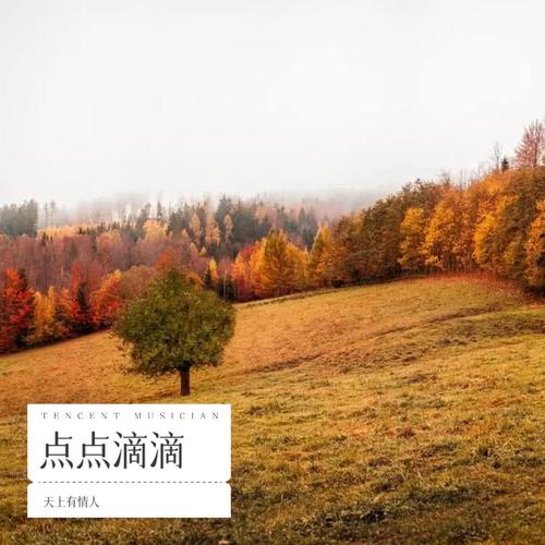 点点滴滴
