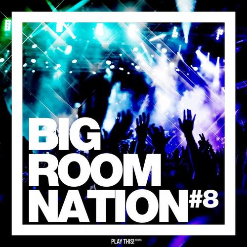 Big Room Nation, Vol. 8