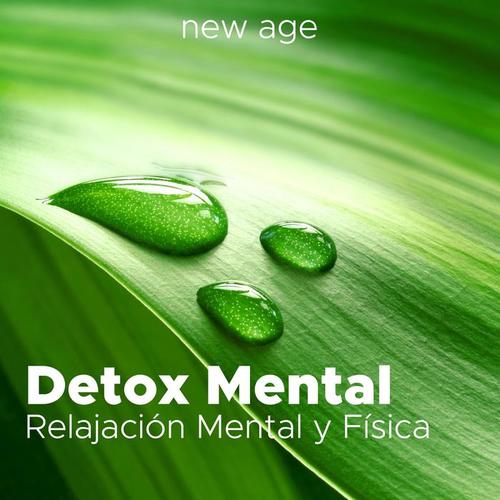 Detox Mental - Relajación Mental y Física con los Mejores Sonidos de la Naturaleza