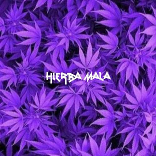 Hierba Mala