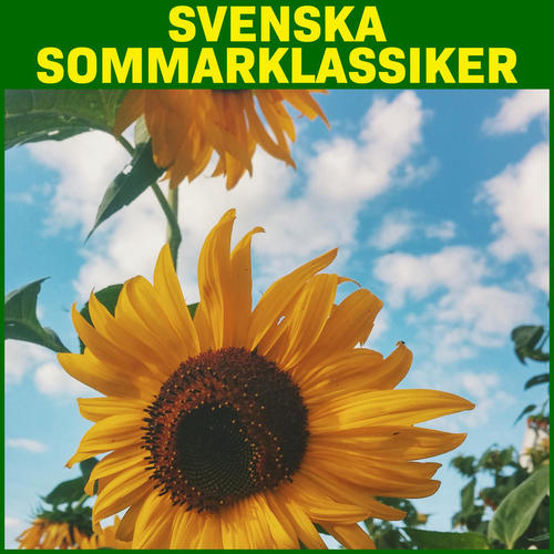 Svenska Sommarklassiker (Explicit)