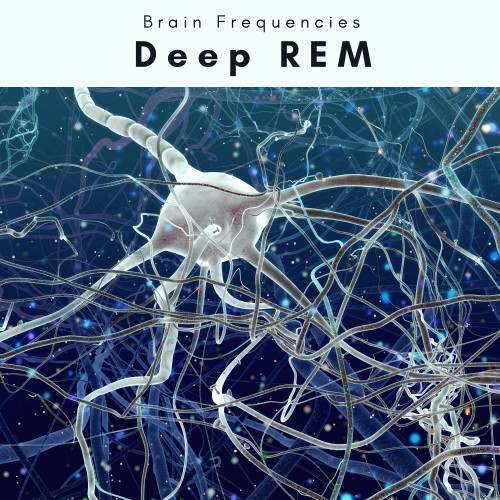 Deep REM