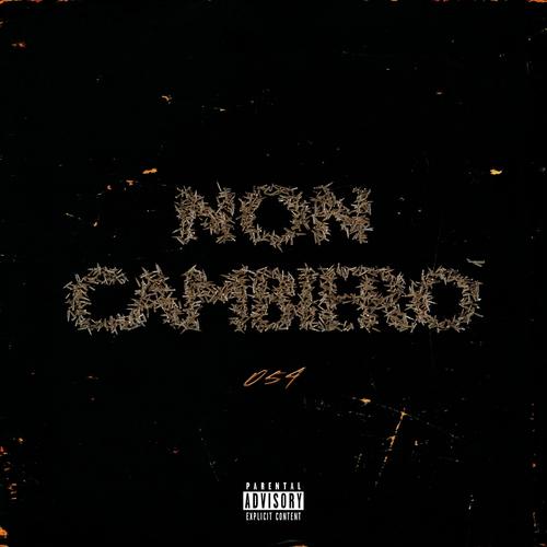 Non Cambierò Freestyle (Explicit)