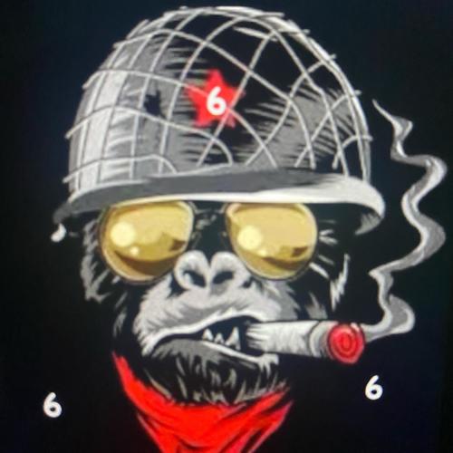 Gorilla W6rfare (Explicit)