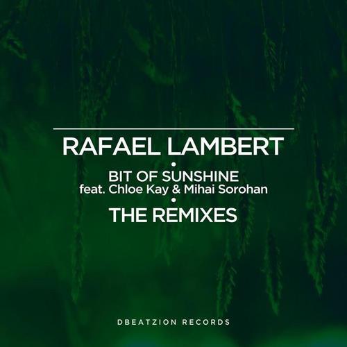 Bit Of Sunshine (The Remixes)