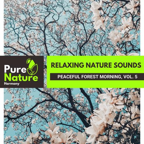 Relaxing Nature Sounds - Peaceful Forest Morning, Vol. 5