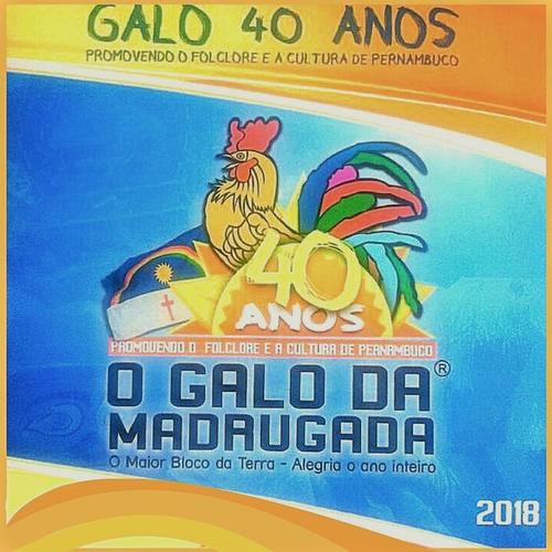 Galo 40 Anos: Promovendo o Folclore e a Cultura de Pernambuco (O Maior Bloco da Terra / Alegria o Ano Inteiro)