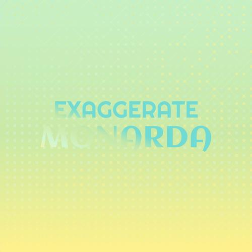 Exaggerate Monarda