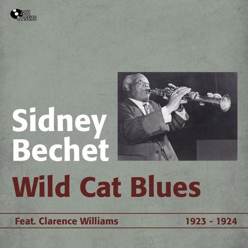 Wild Cat Blues (1923 - 1924)