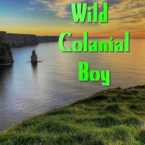 Wild Colanial Boy