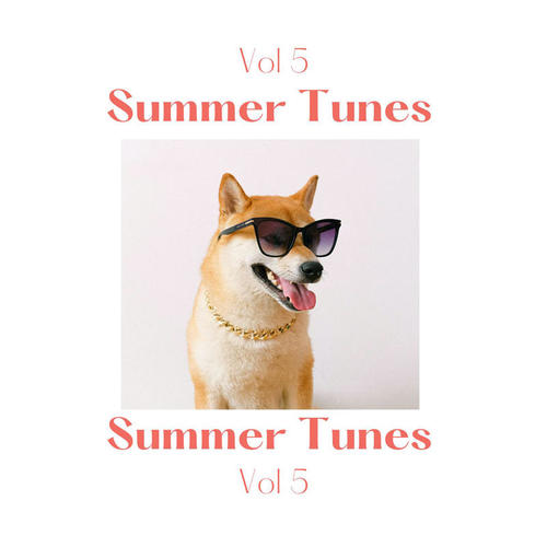 Summer Tunes Vol 5 (Explicit)