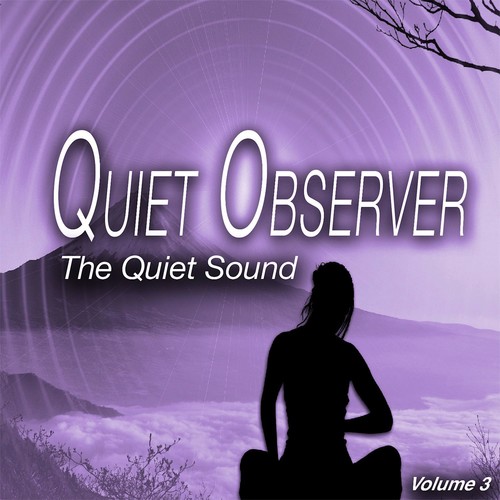 Quiet Observer, Vol. 3 - the Quiet Sound