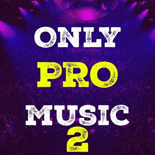 Only Pro Music, Vol. 2