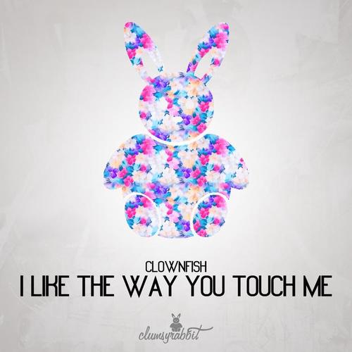 I Like the Way You Touch Me