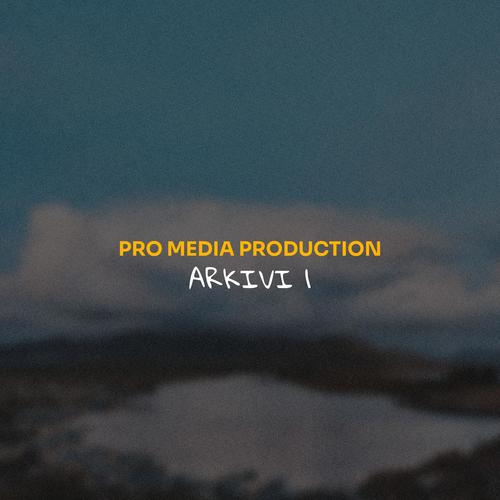 Produksioni Pro Media