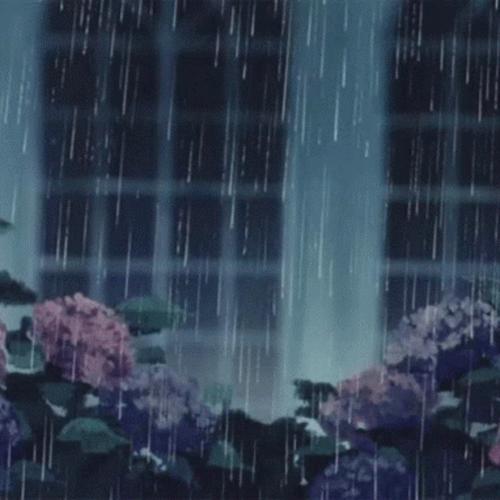 RAINDROP REVERIE