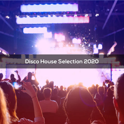 Disco House Selection 2020