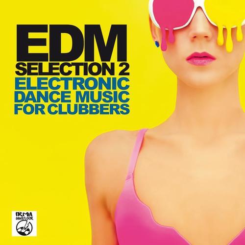 EDM Selection, Vol. 2 (Electronic Dance Music For Clubbers)