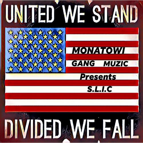 UNITED WE STAND / DIVIDED WE FALL! (Explicit)