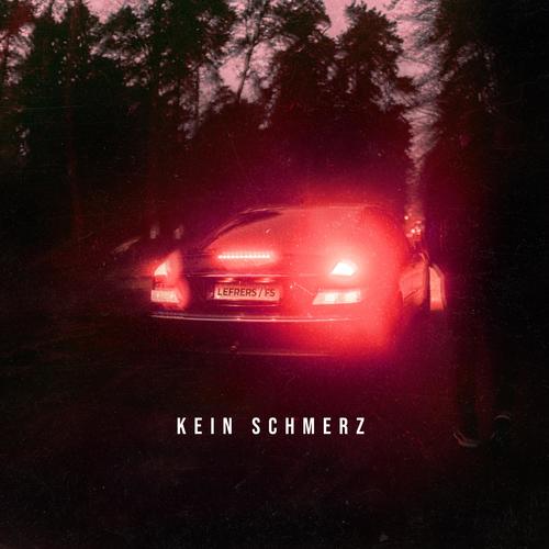 Kein Schmerz (feat. FS)