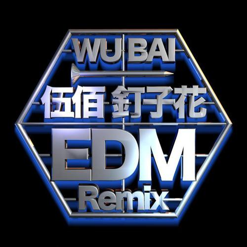 钉子花EDM Remix