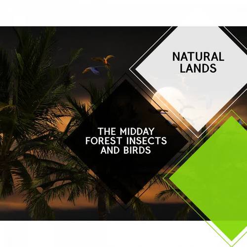 The Midday Forest Insects and Birds - Natural Lands