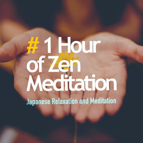 # 1 Hour of Zen Meditation