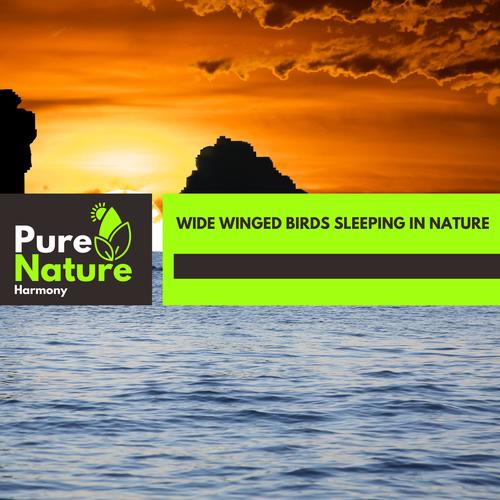 Wide Winged Birds Sleeping in Nature