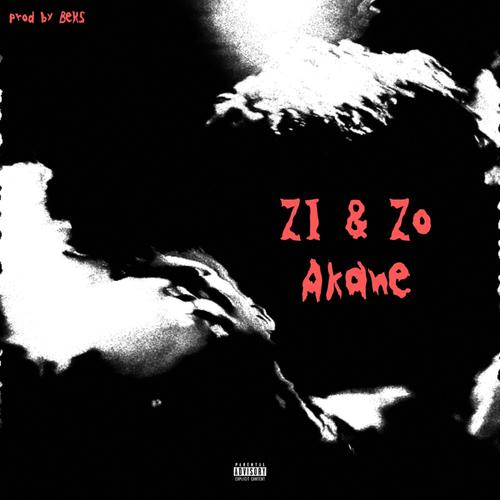 ZI & ZO (Explicit)