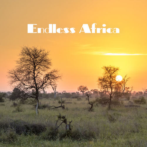 Endless Africa