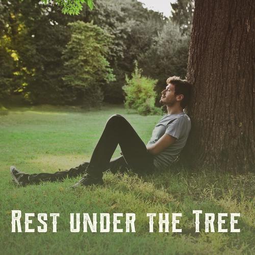 Rest under the Tree: Beautiful New Age Music with Birds Singing