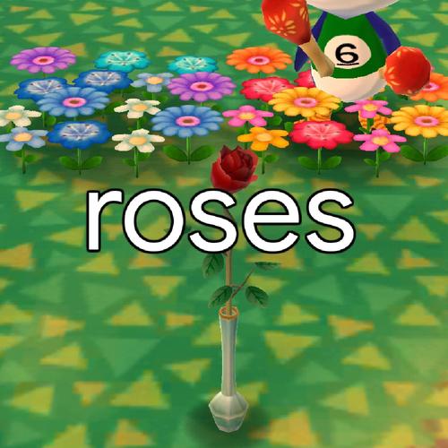 roses