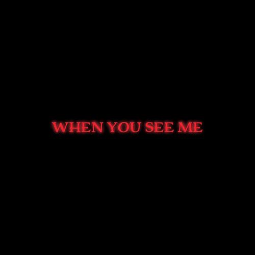 WHEN YOU SEE ME (feat. HotHead) [Explicit]