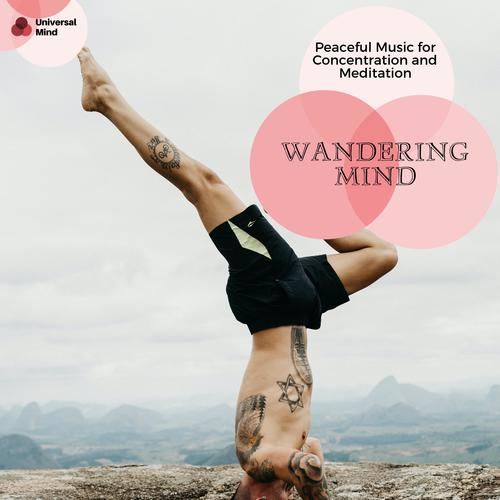 Wandering Mind - Peaceful Music For Concentration And Meditation