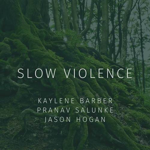 Slow Violence