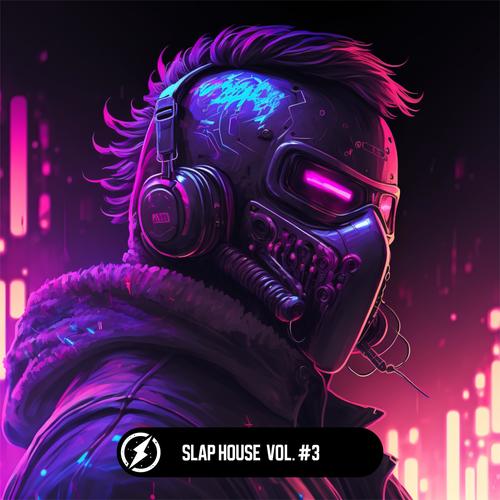 Slap House Vol. #3