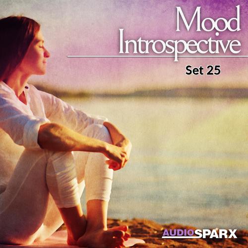 Mood Introspective, Set 25