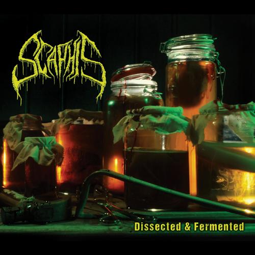 Plague (Explicit)
