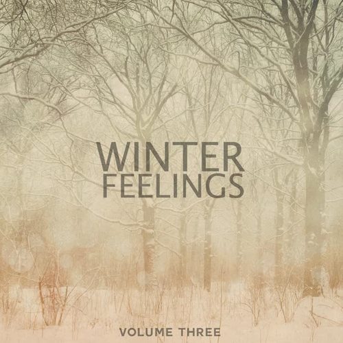 Winter Feelings, Vol. 3 (Finest In Calm & Heartwarming Chill Out Tunes)