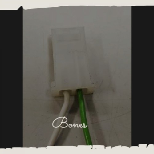 Bones